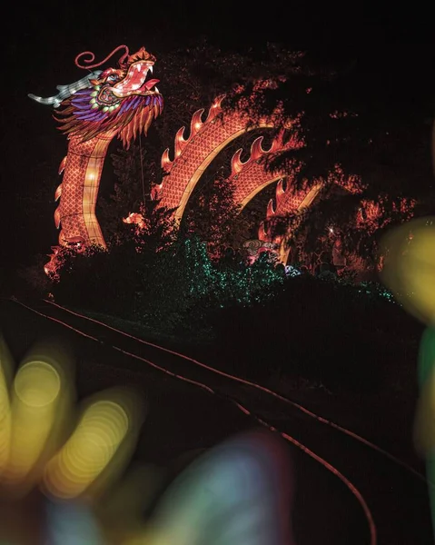 Disparo Vertical Dragón Chino Iluminado Por Noche Parque — Foto de Stock
