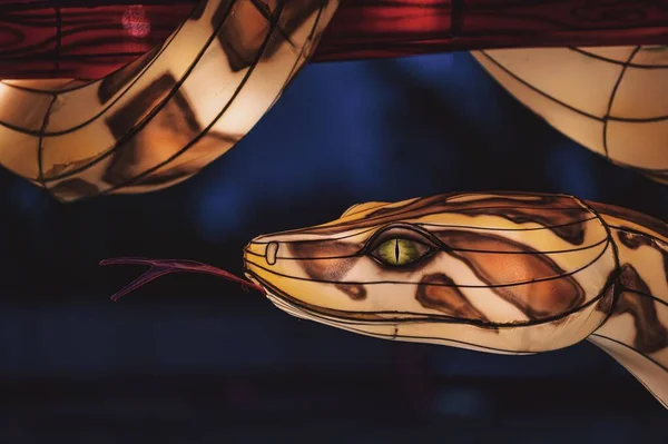 Иллюминированная Змея Парке — стоковое фото