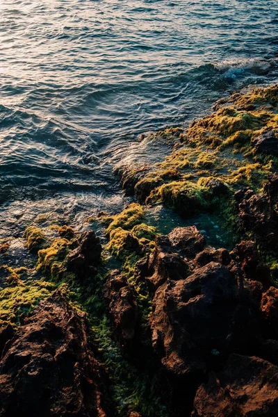 이끼로 암석들 물결치는 바닷물 앞에서 수직으로 각도를 이루고 — 스톡 사진