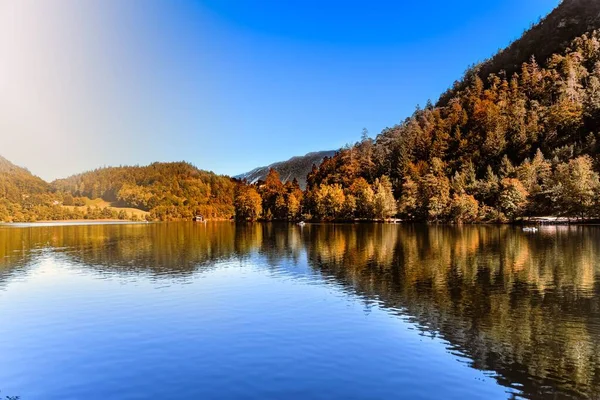 Sonbahar Ormanı Güneşli Bir Günde Yansıyan Manzaralı Bir Göl — Stok fotoğraf
