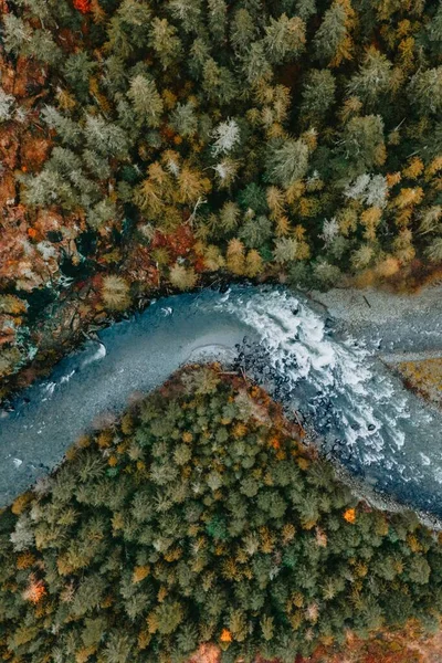 Aerial View River Surrounded Dense Trees — Stock Photo, Image