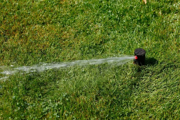 Een Closeup Van Een Water Sprinkler Groen Grasveld — Stockfoto