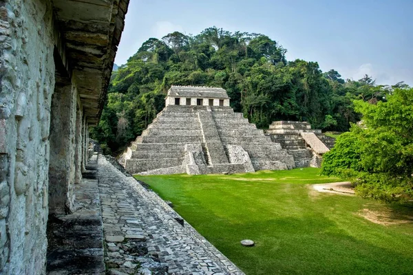 Palenque Meksika Taş Piramidin Güzel Bir Görüntüsü — Stok fotoğraf
