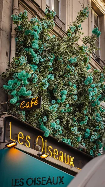 Ένα Κάθετο Πλάνο Του Cafe Les Oiseaux Εξωτερικό Πράσινα Λουλούδια — Φωτογραφία Αρχείου