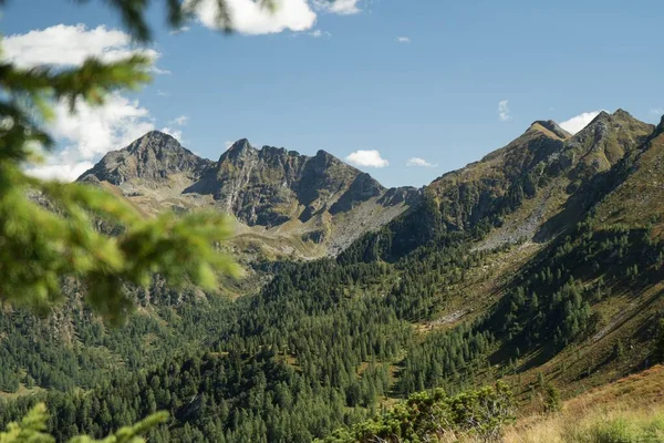 Malebný Záběr Věčně Zelených Stromů Obklopených Vrcholky Pohoří Pod Modrou — Stock fotografie