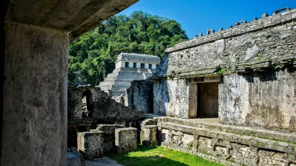 Naturskön Utsikt Över Palenque Ruiner Och Pyramider Blå Himmel Mexiko — Stockfoto