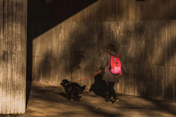 Eine Hündin Geht Mit Ihrem Hund Spazieren — Stockfoto