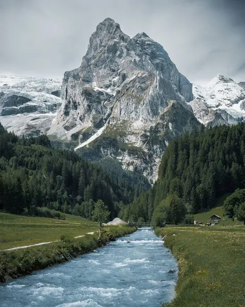Egy Függőleges Lövés Egy Folyóról Amit Alpok Növényzet Vesz Körül — Stock Fotó