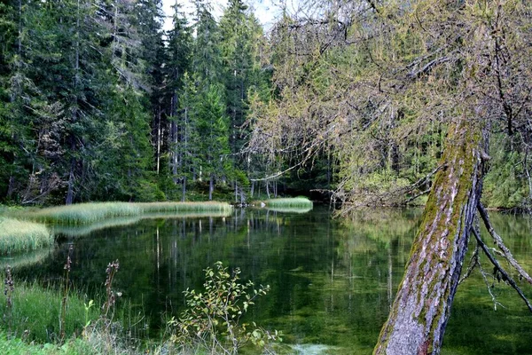 Eine Landschaft Mit Blick Auf Einen See Wald — Stockfoto