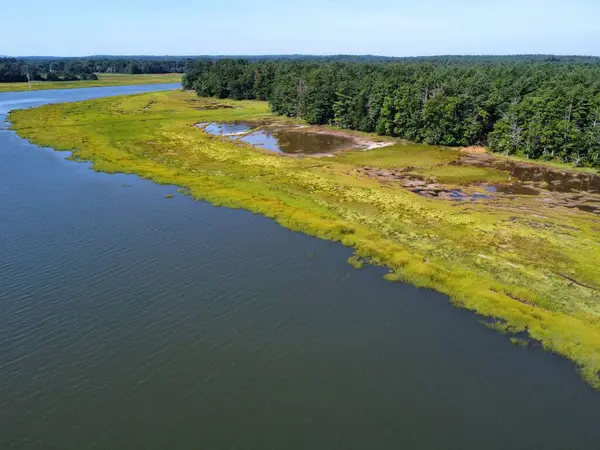 Eine Luftaufnahme Eines Flusses Grünen Feld — Stockfoto