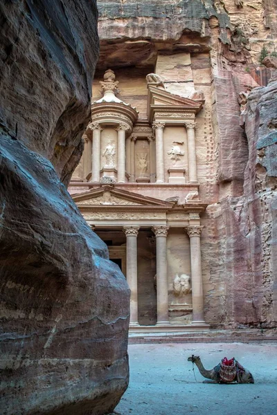 Plano Vertical Monasterio Petra Jordania — Foto de Stock