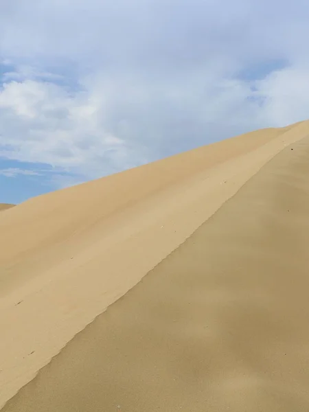 Plan Vertical Une Grande Dune Dans Désert Sous Ciel Nuageux — Photo