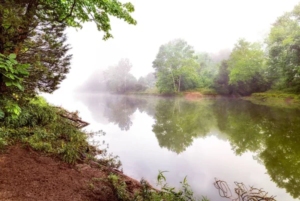 ケンタッキー州ルイビルのベックリーク公園の霧の日に緑の木を囲む湖 — ストック写真