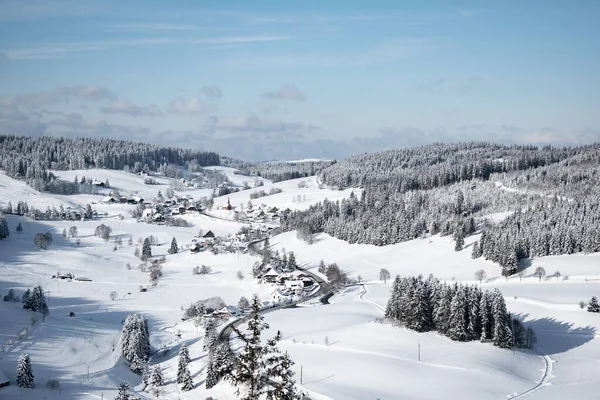 Een Betoverend Uitzicht Het Zwarte Woud Winter Schluchsee Duitsland — Stockfoto