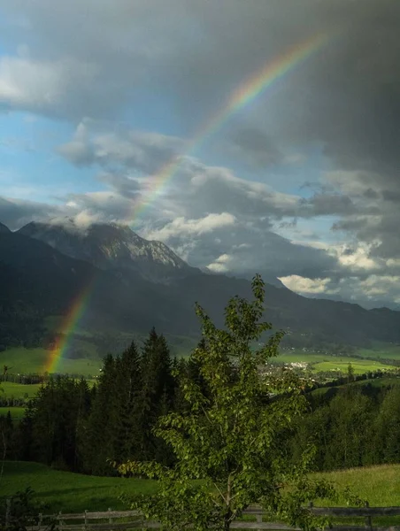 Eine Vertikale Aufnahme Eines Regenbogens Auf Einer Grünen Wiese Umgeben — Stockfoto