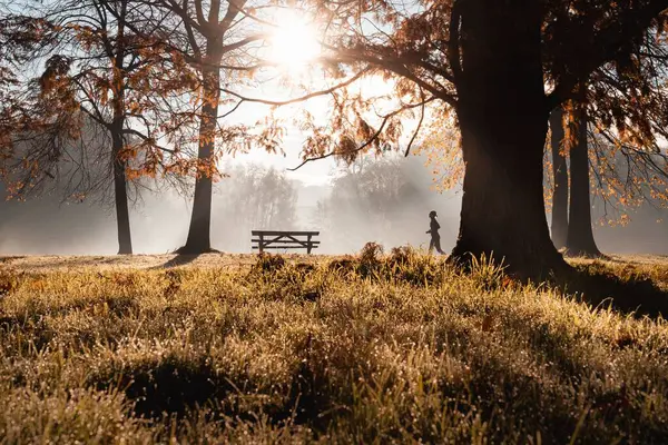 Uma Silhueta Corredor Correndo Distância Parque Uma Manhã Enevoada Outono — Fotografia de Stock