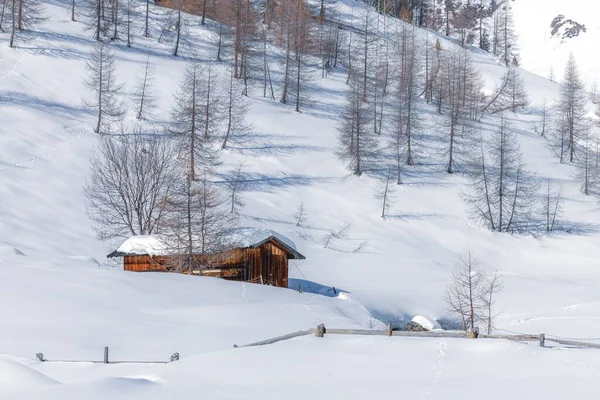 冬雪覆盖着厚厚的积雪的森林中的一个乡村木屋 — 图库照片