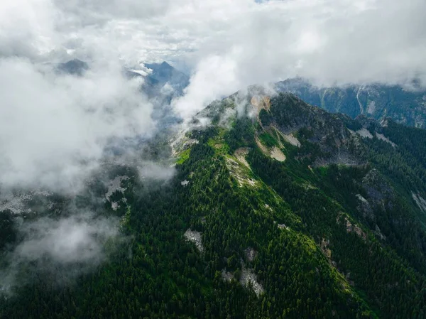 Воздушный Кадр Видом Красивый Ярко Зеленый Лес Пике Флоры — стоковое фото