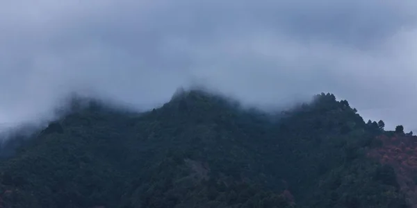 Une Belle Vue Sur Montagne Avec Épais Arbres Verts Dessus — Photo