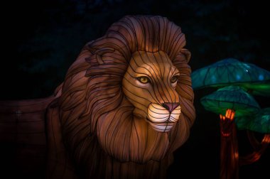 Parkta aydınlanmış bir aslan.