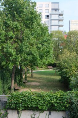 Paris, Fransa 'da yemyeşil ağaçlı yeşil bir parkın dikey görüntüsü.