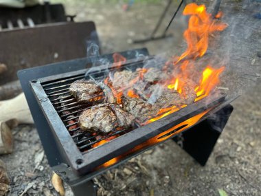 Parkta ızgarada ızgara yapan bir biftek.