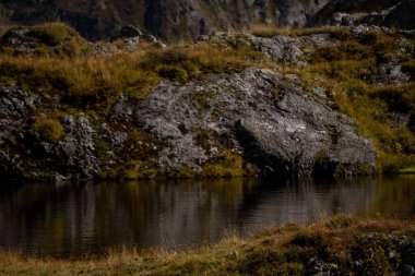 Avusturya 'nın kırsal kesimindeki kayalık dağlarla çevrili bir göl manzarası