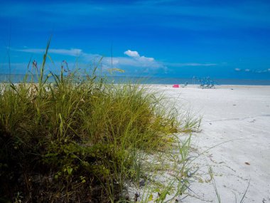 Florida 'daki Estero Adası' nın arka planında deniz olan kumlu bir sahildeki uzun yeşil çimenler.