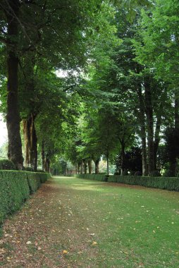 İspanya 'da bitki ve ağaçlı yeşil tarihi bahçe Pazo de Oca manzarası