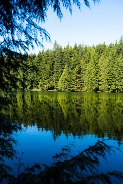 Baharda Sasamat Gölü, Kanada, Britanya Kolumbiyası üzerindeki güzel bir rıhtım manzarası
