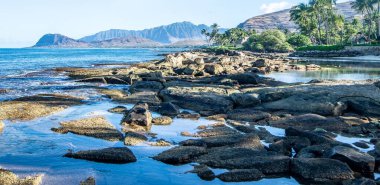 Hawaii 'deki Oahu Adası' nda mavi gökyüzünün altındaki güzel sahil.