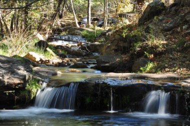 Gündoğumunda sonbahar ormanlarında taşlı güzel bir dere manzarası.