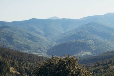 Yaremche şehrinin ve Karpatlar 'ın güzel bir görüntüsü.