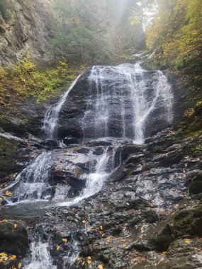 Sonbahar ormanlarında kayalardan akan bir şelalenin güzel manzarası.