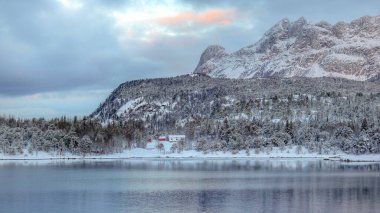 Norveç 'in bulutlu arka planında kıyıdaki karlı ormanların manzarası
