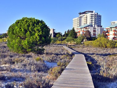 Güneşli bir günde sahile giden tahta bir patika.