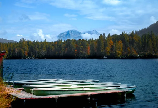 背景にはオート麦と森のある湖の風景 — ストック写真