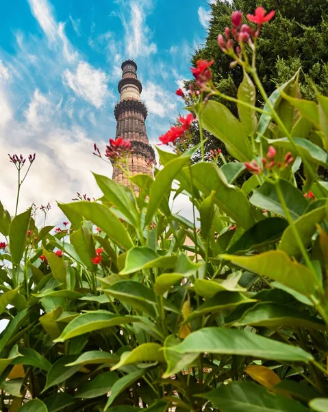 Vertical Shot Qutub Minar Brick Tower Delhi Background Pink Flowers — Stock Photo, Image