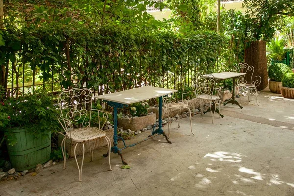 緑の葉とフェンスに囲まれた公園内のヴィンテージ家具付きの庭園 — ストック写真