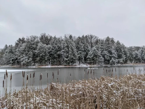 川の雪の森の美しい白い風景 — ストック写真