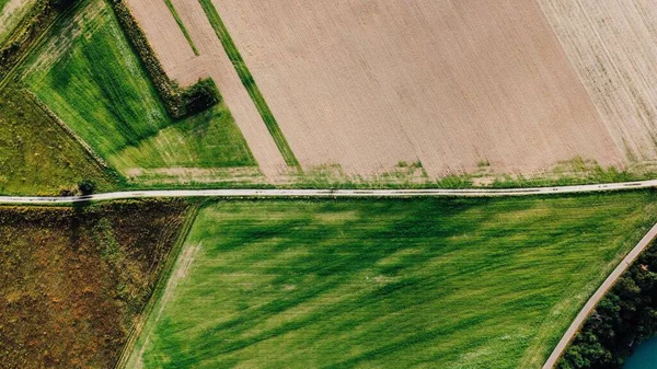 Una Vista Aérea Del Campo Hierba Verde Durante Día — Foto de Stock