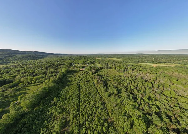 Повітряний Знімок Широкого Зеленого Лісу Горизонтом Фоні Сонячного Дня — стокове фото