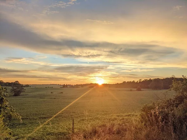 Прекрасний Знімок Сонця Сяє Полі — стокове фото