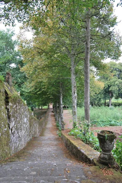 Ein Schöner Blick Auf Den Grünen Historischen Garten Pazo Oca — Stockfoto