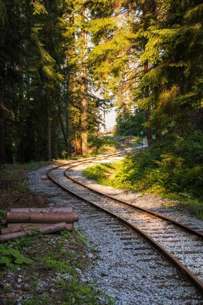 Een Kronkelende Spoorweg Een Dicht Groen Woud — Stockfoto