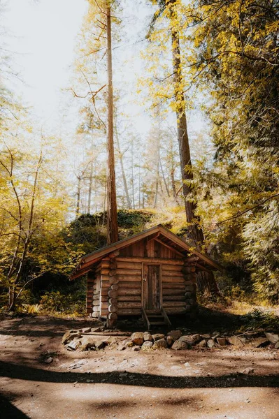 Egy Kis Faház Erdőben Fákkal Körülvéve Békés Nyugodt Erdő — Stock Fotó