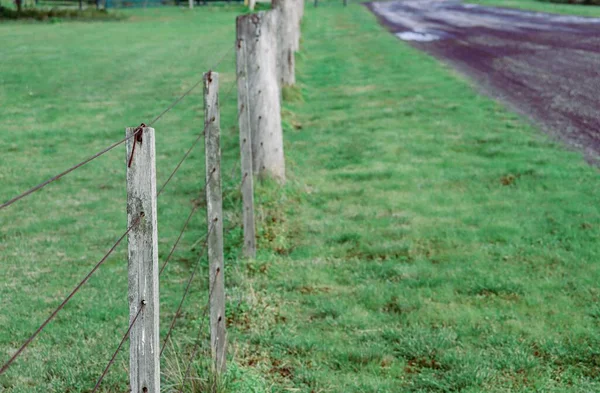 Closeup Wooden Fence Field Covered Lawn Blurry Background — Stock Photo, Image