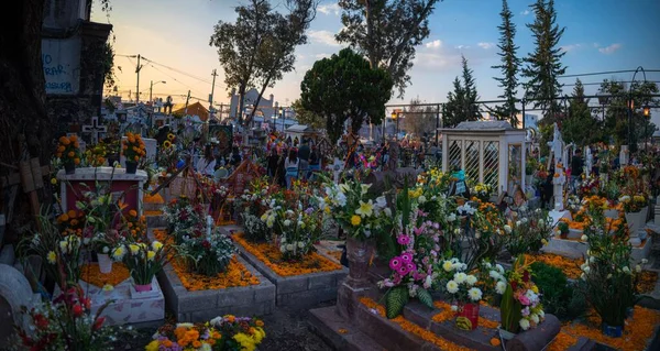 Blumen Auf Einem Friedhof Mexiko Stadt Zum Tag Der Toten — Stockfoto