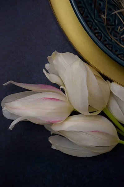 Una Vista Cerca Hermosos Tulipanes Blancos —  Fotos de Stock