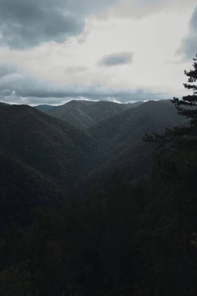 Piękny Widok Pasmo Górskie Gęstymi Drzewami Zachmurzone Niebo — Zdjęcie stockowe